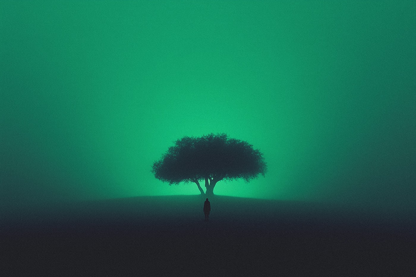 A mysterious person in a vast empty landscape approaching a tree in a dark foggy night. An eerie green light shining from behind the tree, light source unknown. | Wall Art
